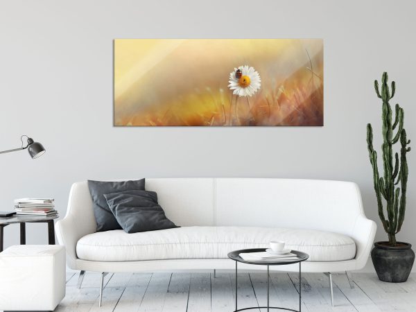 Gänseblümchen mit Marienkäfer, Glasbild Panorama Im Angebot – Bild 2