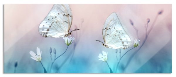 Schmetterling auf kleinen Blumen, Glasbild Panorama Schn?ppchen