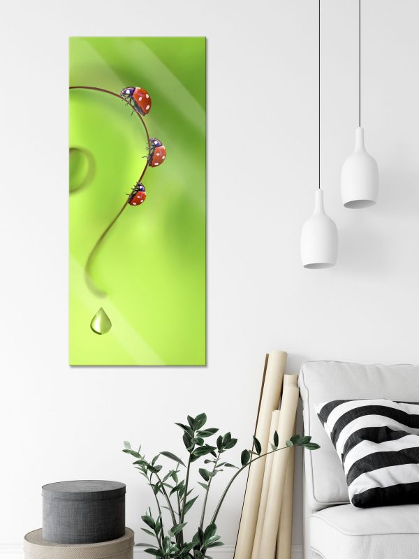 Marienkäfer Fragezeichen, Glasbild Panorama Angebot – Bild 3