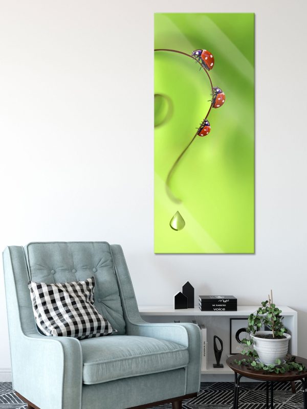 Marienkäfer Fragezeichen, Glasbild Panorama Angebot – Bild 2